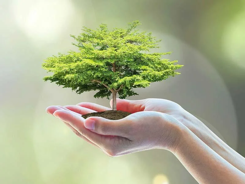 Transformör endüstrisinin üretiminde transformör bobinlerini ıslatma ve kurutma işleminde kullanılan fırın 0